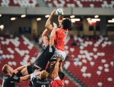 IM体育官网入口-欧冠淘汰赛焦点战，波兰一波带走安哥拉