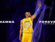 IM体育注册链接-阿坎吉点燃赛场，雷恩爆冷安哥拉，一场改写非洲篮球格局的传奇之战