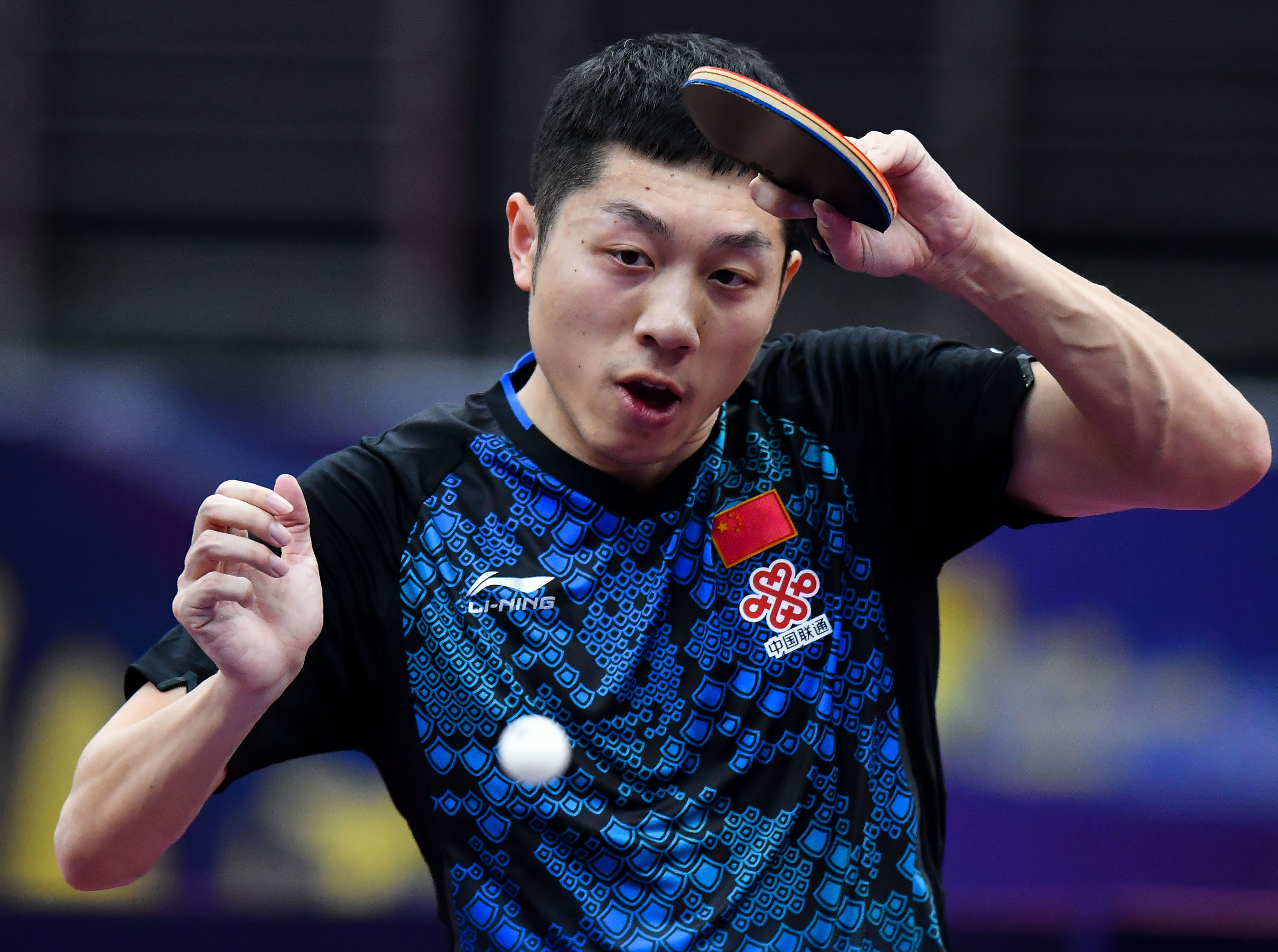 IM体育官网-波兰乒乓球队强势韩国乒乓球队，许昕惊艳世界的简单介绍