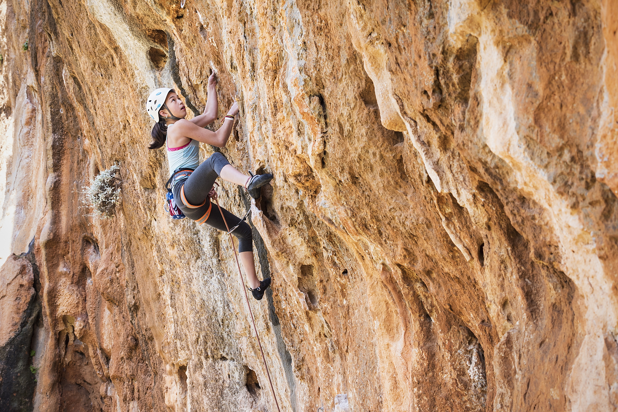 IM体育官方平台-关于精英运动员挑战自我，突破极限追梦的信息