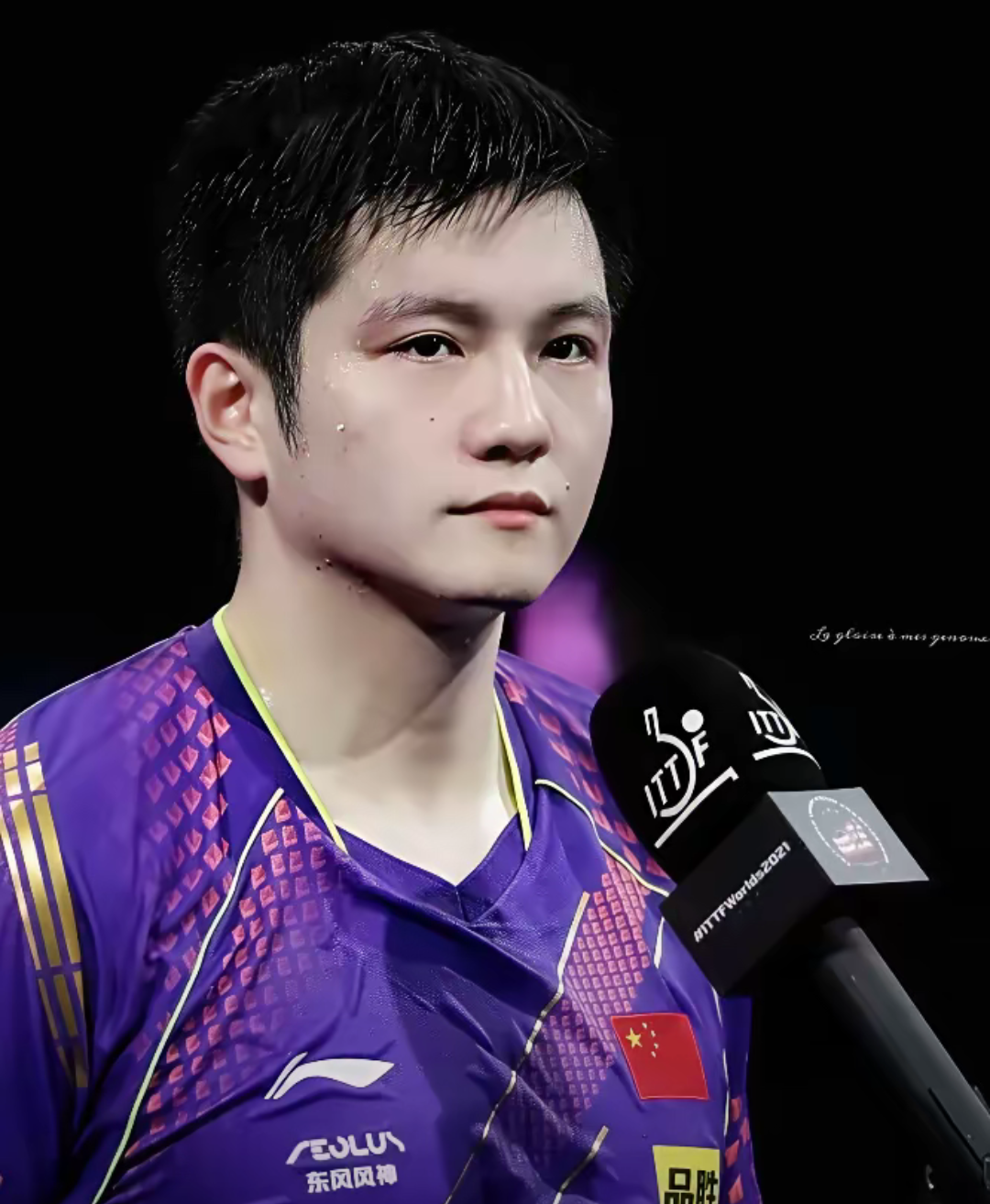 IM体育平台-奥地利队横扫波兰队，樊振东统治全场的简单介绍