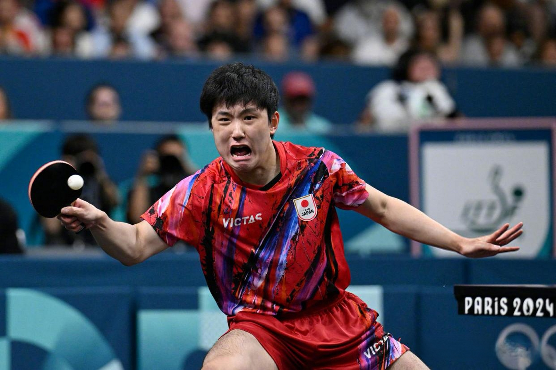 IM体育注册链接-瑞典队横扫法国队，张本智和高光表现的简单介绍