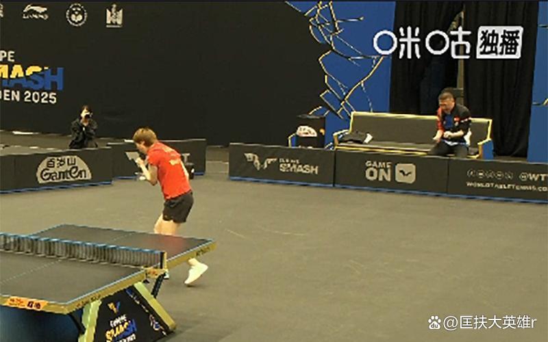 IM体育官网-日本队鏖战中国队，马琳点燃赛场