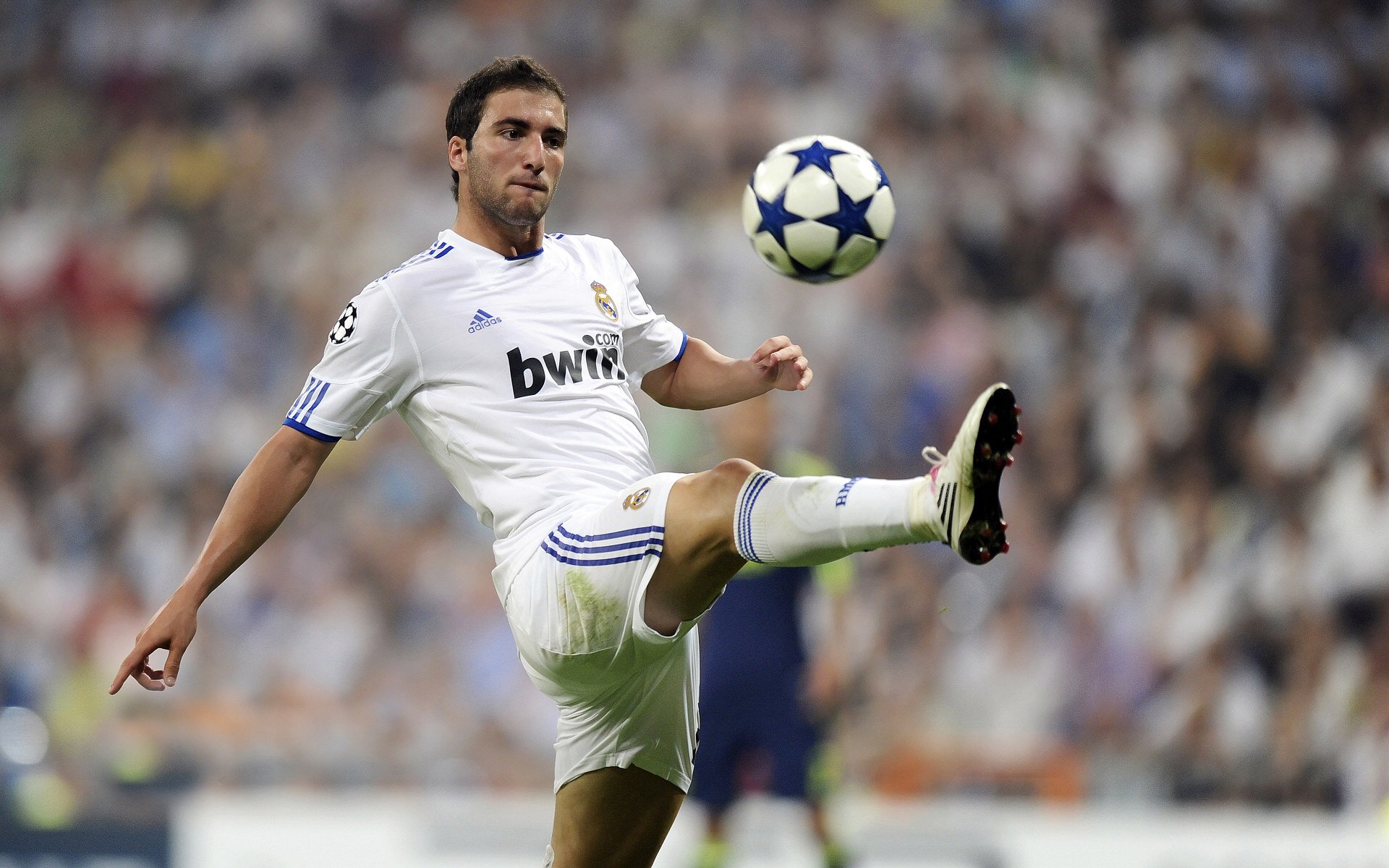 IM体育下载-冰岛巅峰对决苏格兰，加维成为关键先生